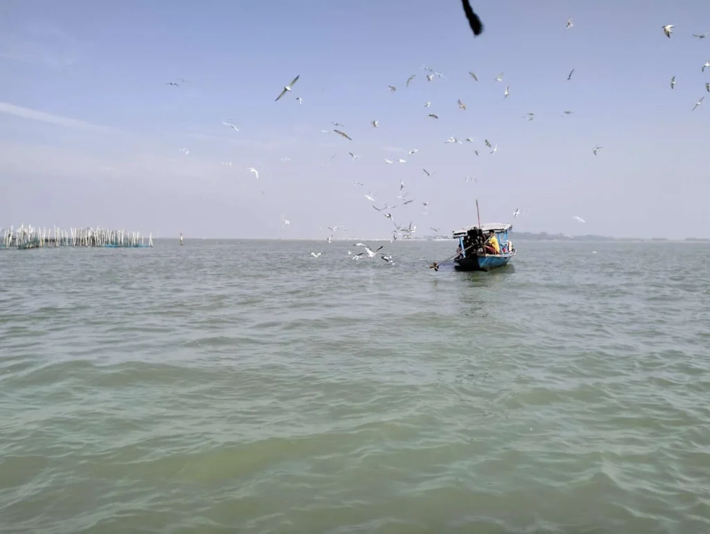Chilika Lake Odisha | localdrive