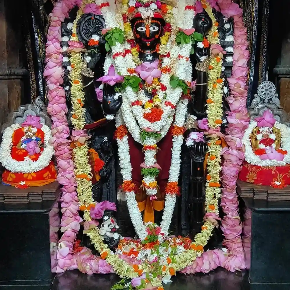 Odisha Marvels | local drive