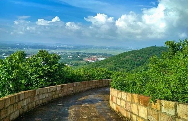 Barunei Hill | localdrive