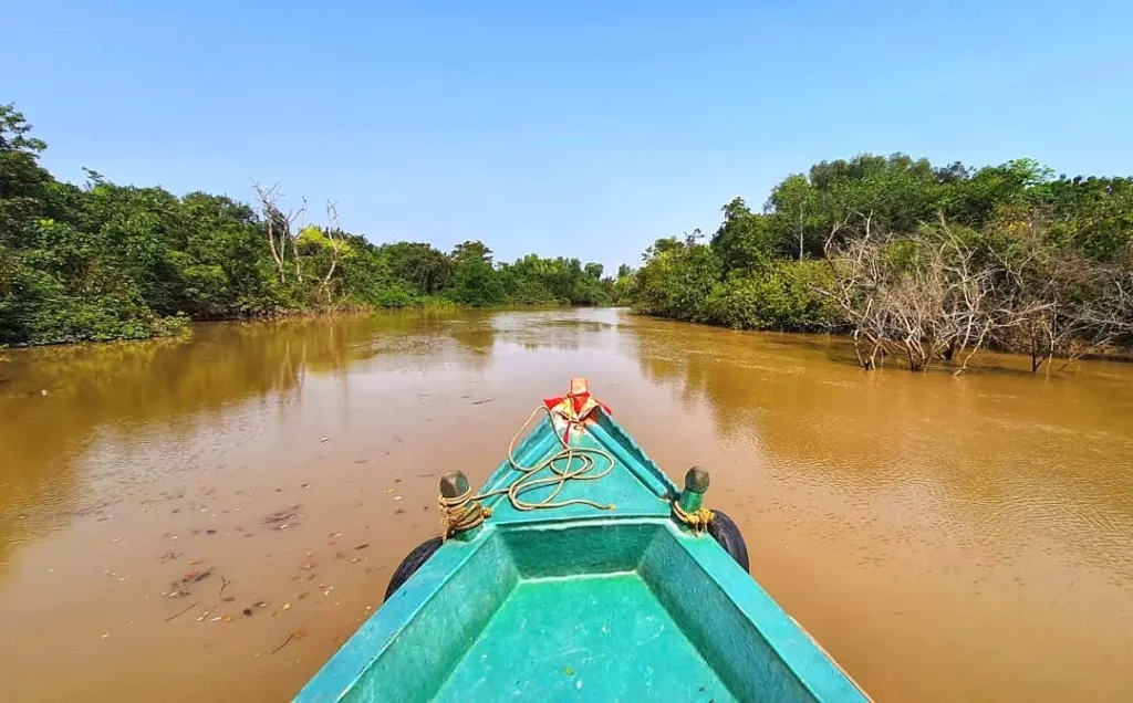 Bhitarkanika National Park | localdrive