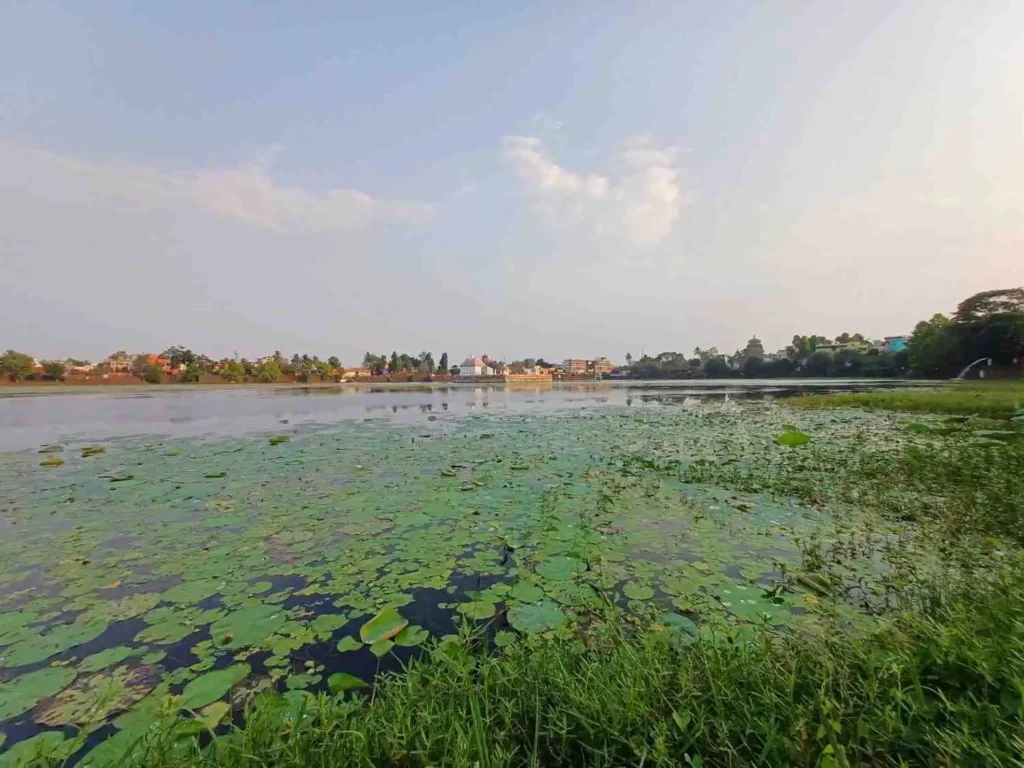 Bindu Sagar | localdrive