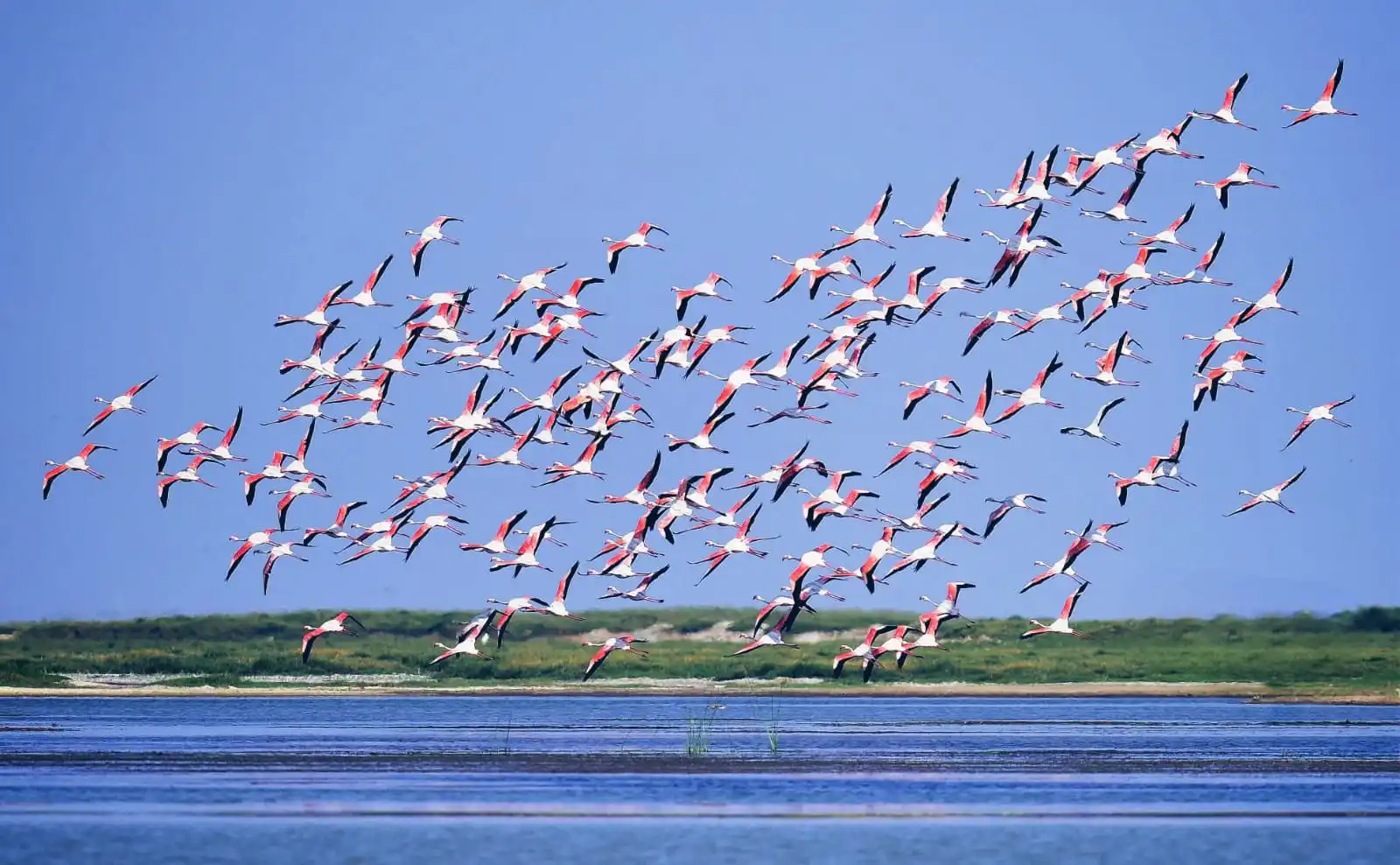 Chilika Lake- Asia's Largest Saltwater Lagoon & Biodiversity Hub