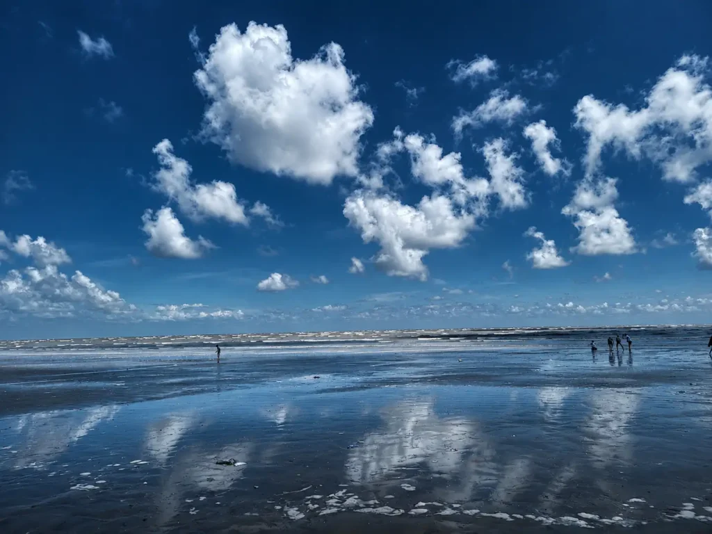 Chandipur Beach | localdrive