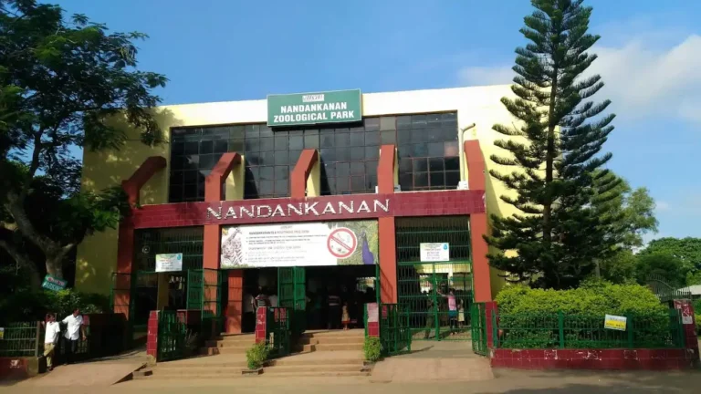 Nandankanan | localdrive