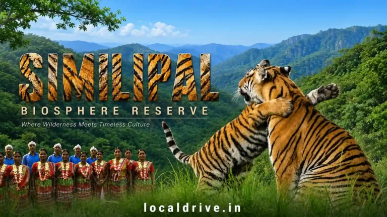 Similipal Biosphere Reserve- Where Nature, Culture & Conservation Meet | localdrive