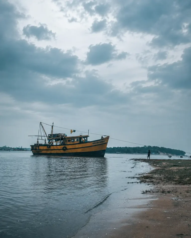 Chandipur Beach | localdrive