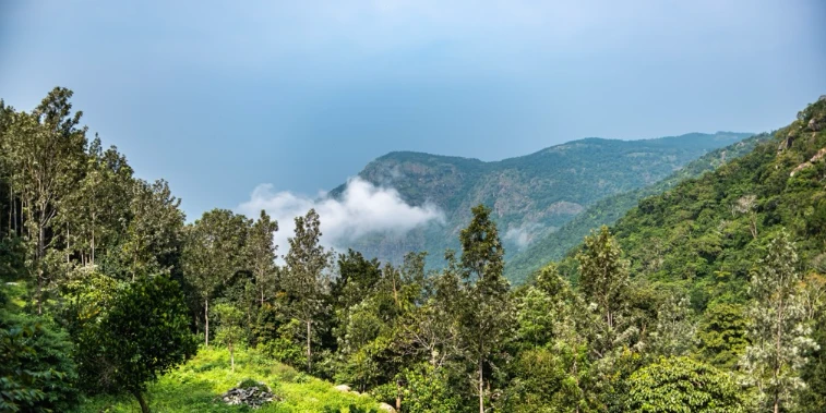 Eastern Ghat | localdrive