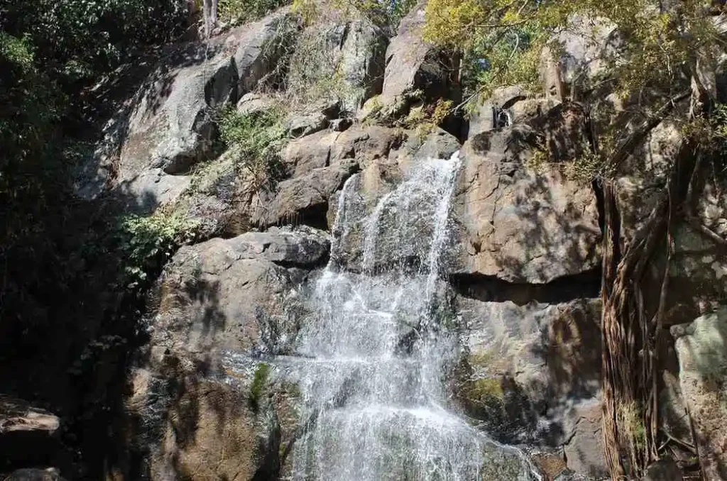 Daringibadi Odisha | localdrive
