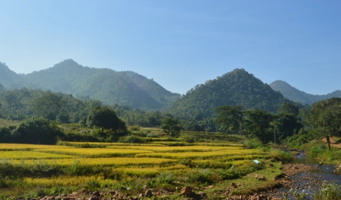 Eastern Ghat | localdrive