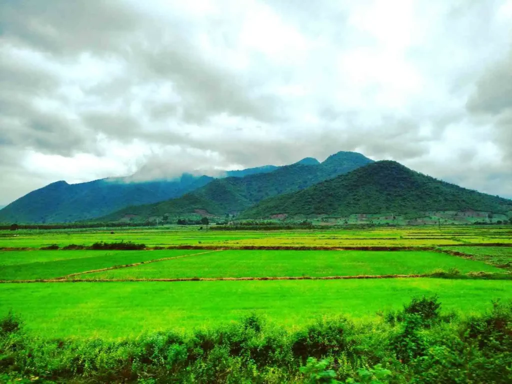 Rayagada | localdrive
