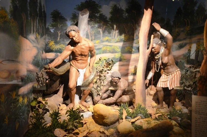 Odisha State Museum | localdrive
