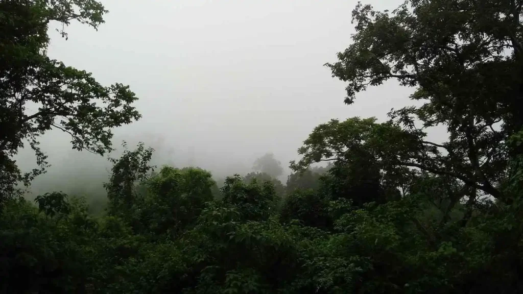 Daringibadi Odisha | localdrive
