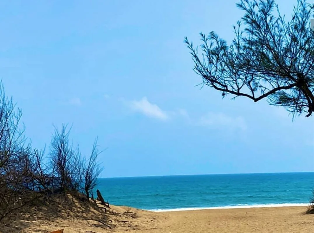 Puri beaches and coastal landscape in Odisha