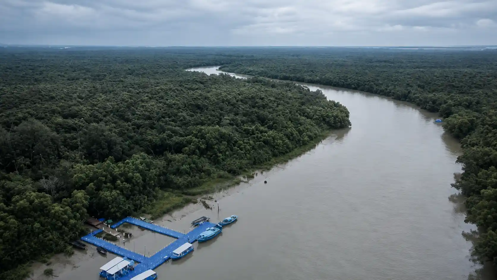 Bhitarkanika mangrove landscape connected with the Baitarani river system