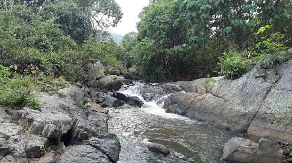 Niyamgiri Odisha | localdrive