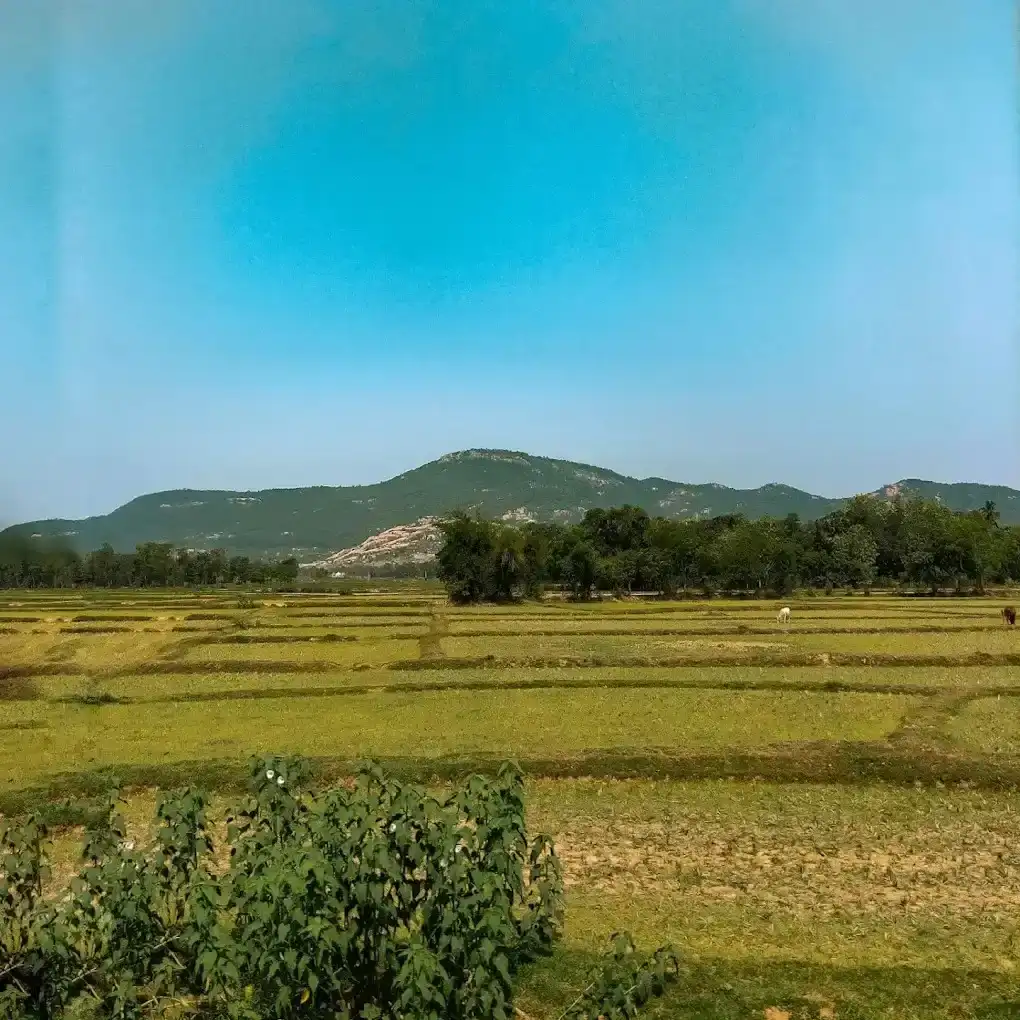 Panchalingeswar Temple | localdrive