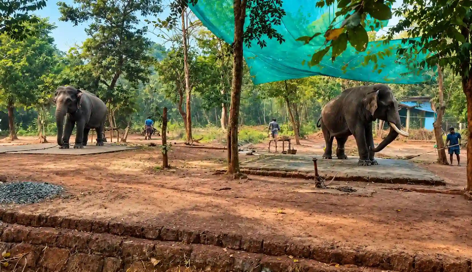 Nature Trails and Trekking at Chandaka
