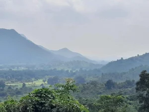 Niyamgiri Odisha | localdrive