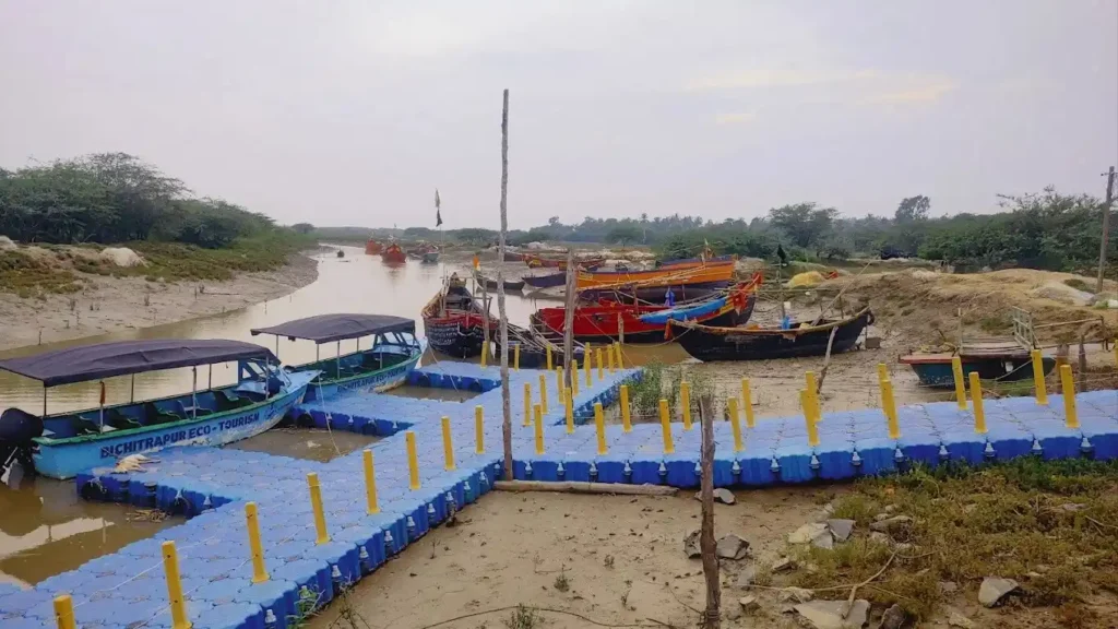Mangrove Sanctuary | localdrive