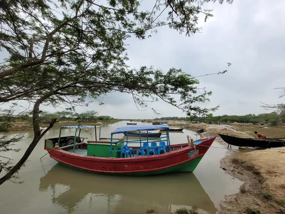 Bichitrapur Nature Camp in Balasore district, Odisha