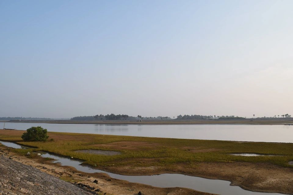 Prachi River Odisha | localdrive