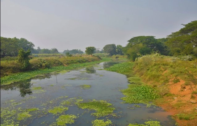 Prachi River Odisha | localdrive