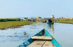 Mangalajodi | localdrive