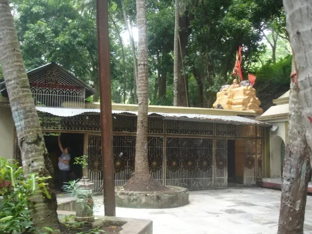 Narayani Temple Odisha | localdrive