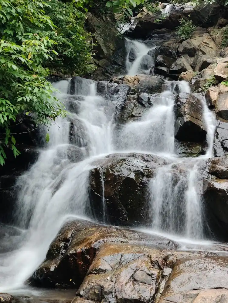Ashokjhar Waterfall | localdrive