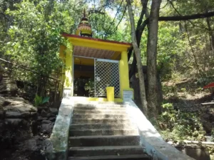 Gonasika | localdrive