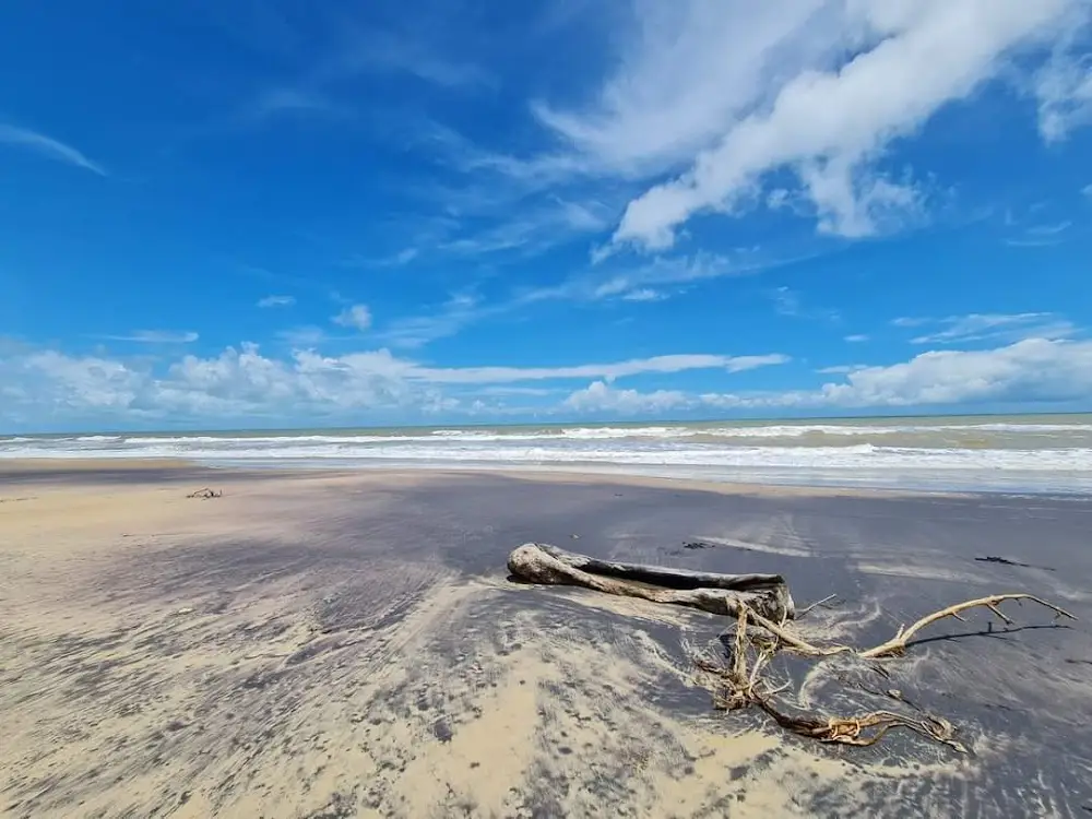 Paradeep Sea Beach | localdrive