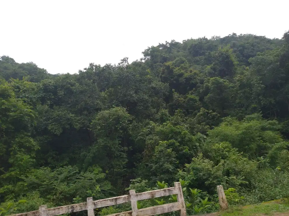 Rabandhar Waterfall | local drive