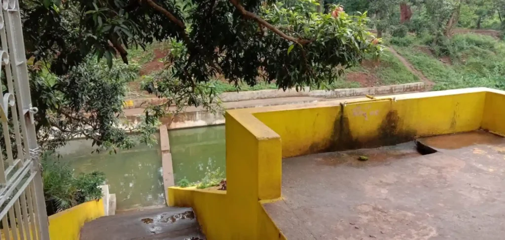 Gonasika | localdrive