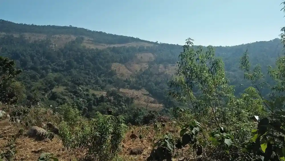 Gonasika | localdrive