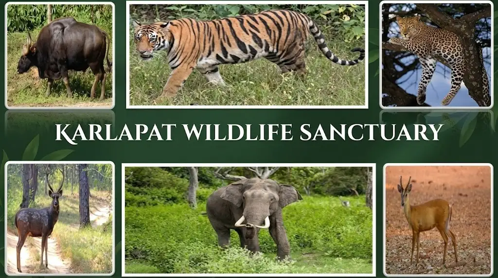 Karlapat Wildlife Sanctuary | localdrive