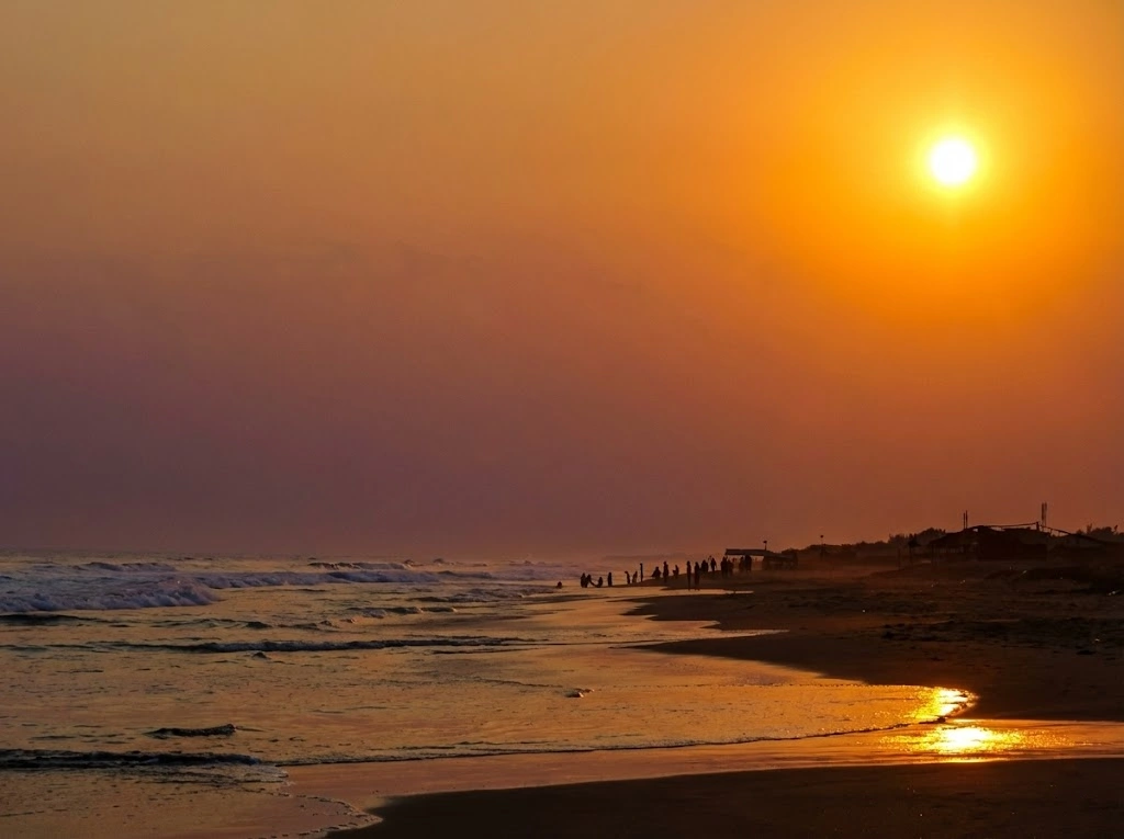 Magha Saptami 2026 | localdrive