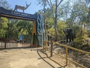 Karlapat Wildlife Sanctuary | localdrive