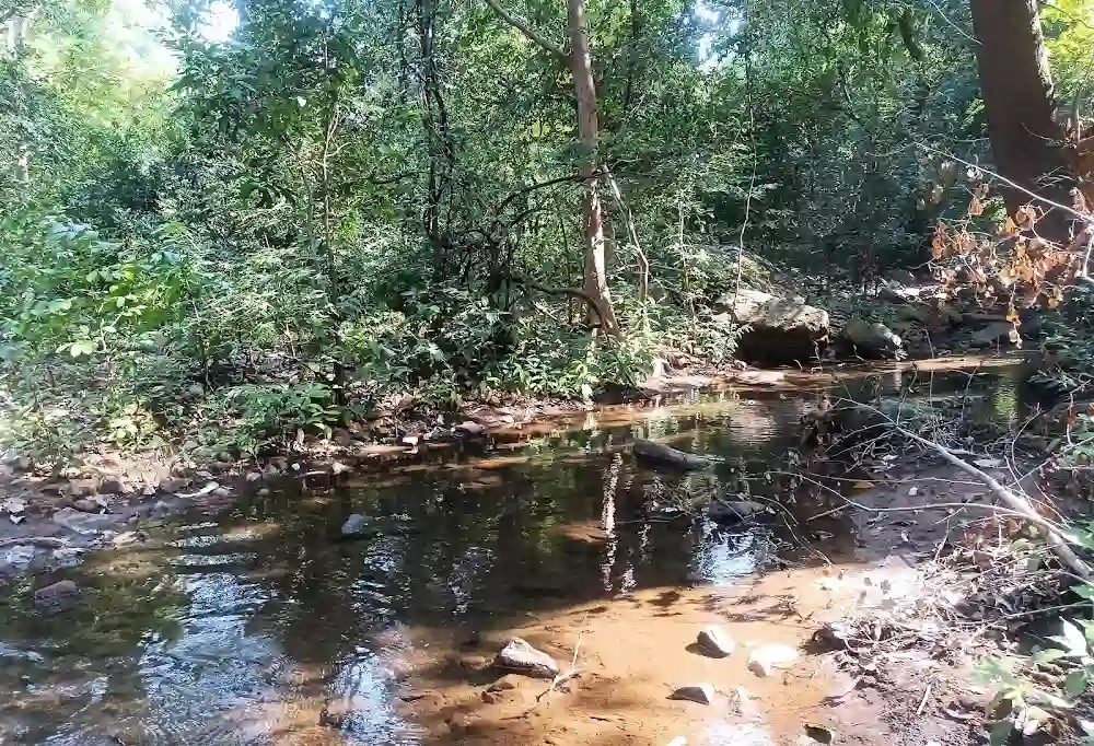 Deojharan Waterfall | localdrive