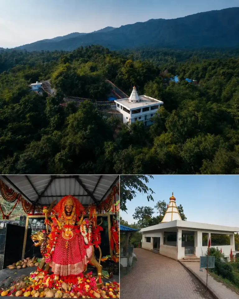 Nayagarh Vaishno Devi Temple | localdrive