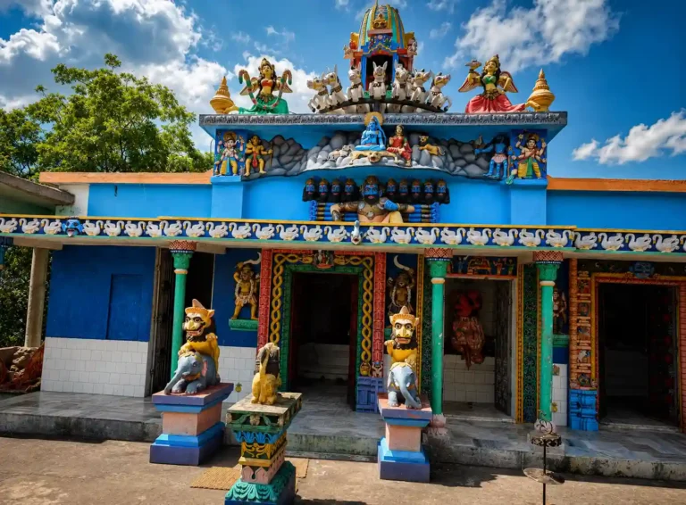 Viswanath Mundia | localdrive