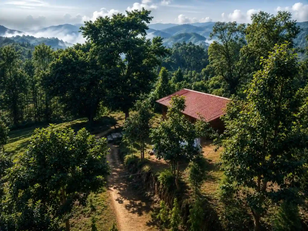 Mandasaru Valley Kandhamal | localdrive