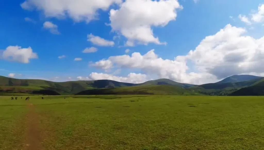 Putsil Valley – Live Among the Clouds | localdrive