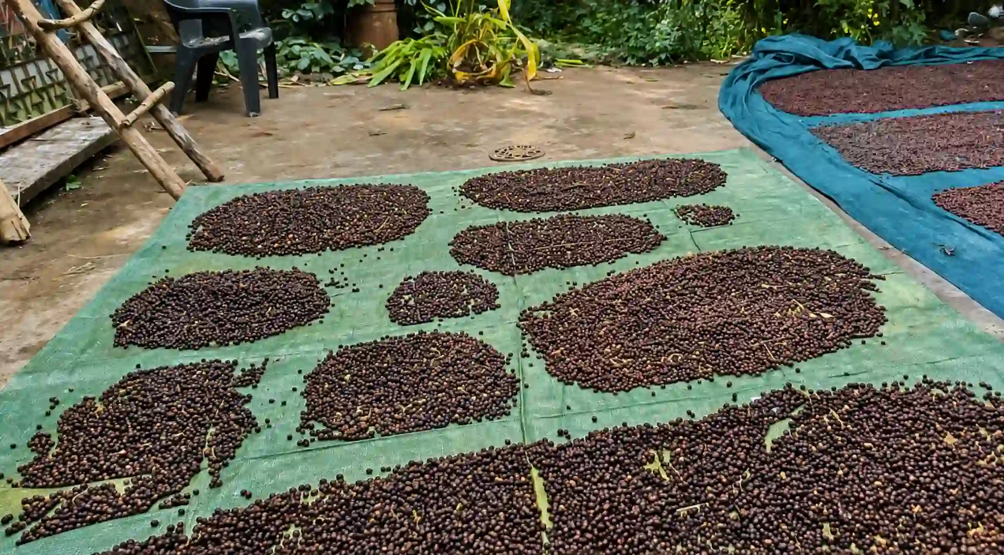 Brown Valley Coffee Garden Is More Than a Coffee Stop