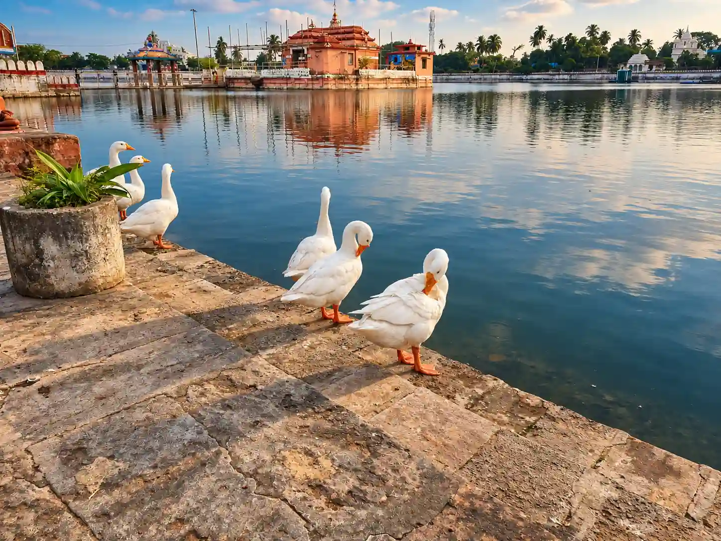 Narendra Pokhari, the sacred pond associated with Chandan Yatra in Puri, Odisha