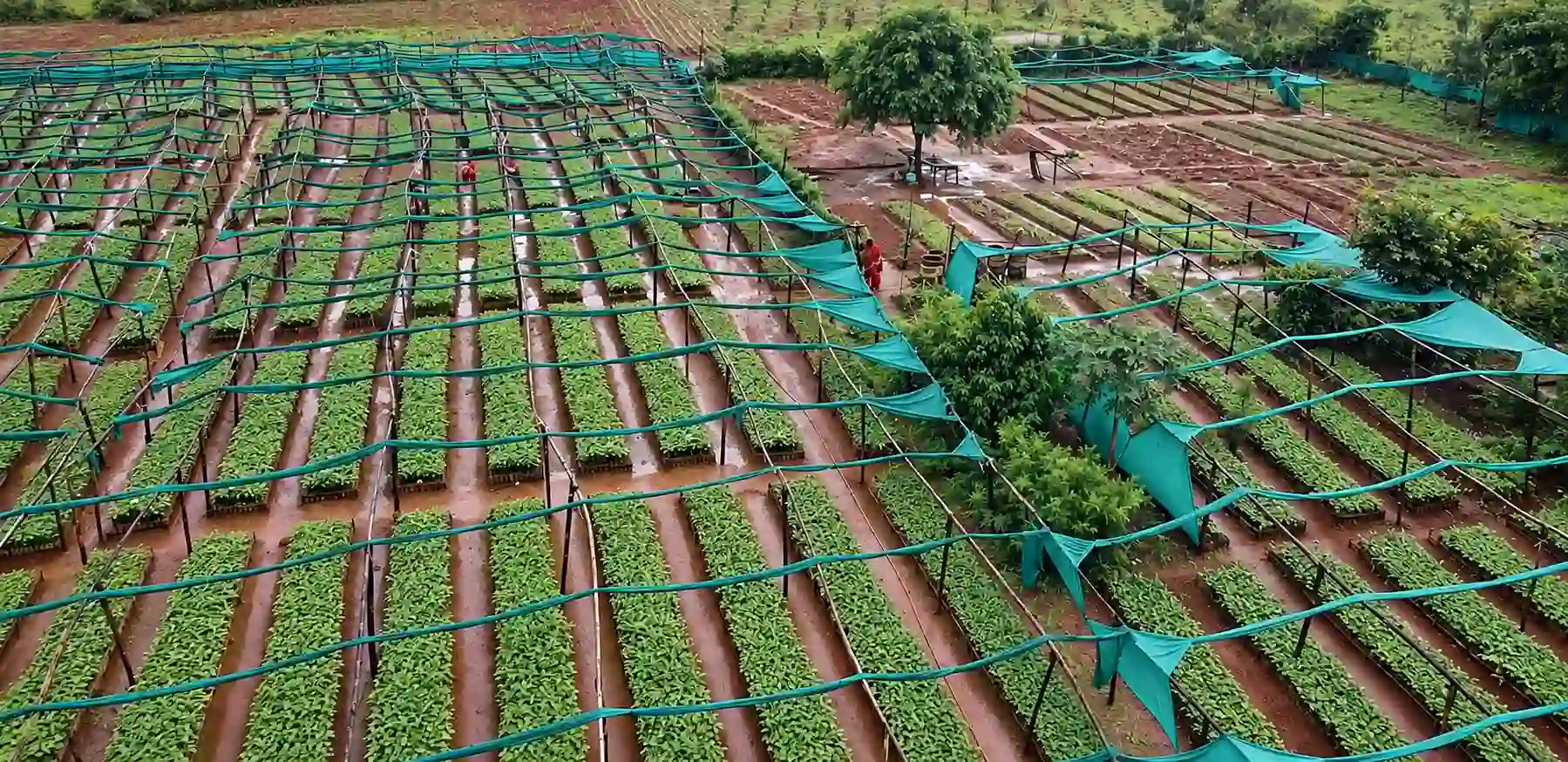 Why One Year's Harvest Cannot Tell the Whole Story