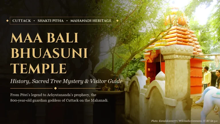 Maa Bali Bhuasuni Temple Cuttack: history, sacred tree mystery and visitor guide