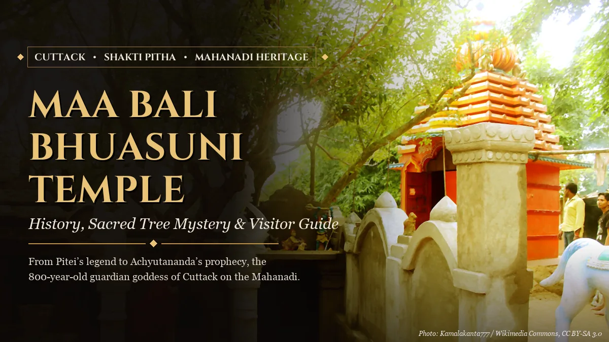 Maa Bali Bhuasuni Temple Cuttack: history, sacred tree mystery and visitor guide