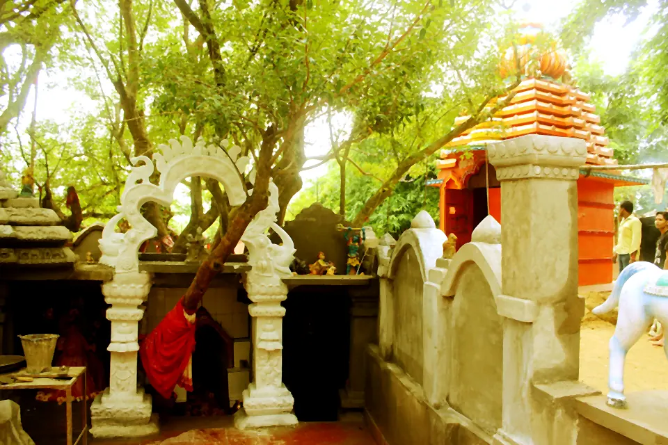 Orange-spired shrine of Maa Bali Bhuasuni Temple at Bidanasi, Cuttack, behind its whitewashed boundary wall