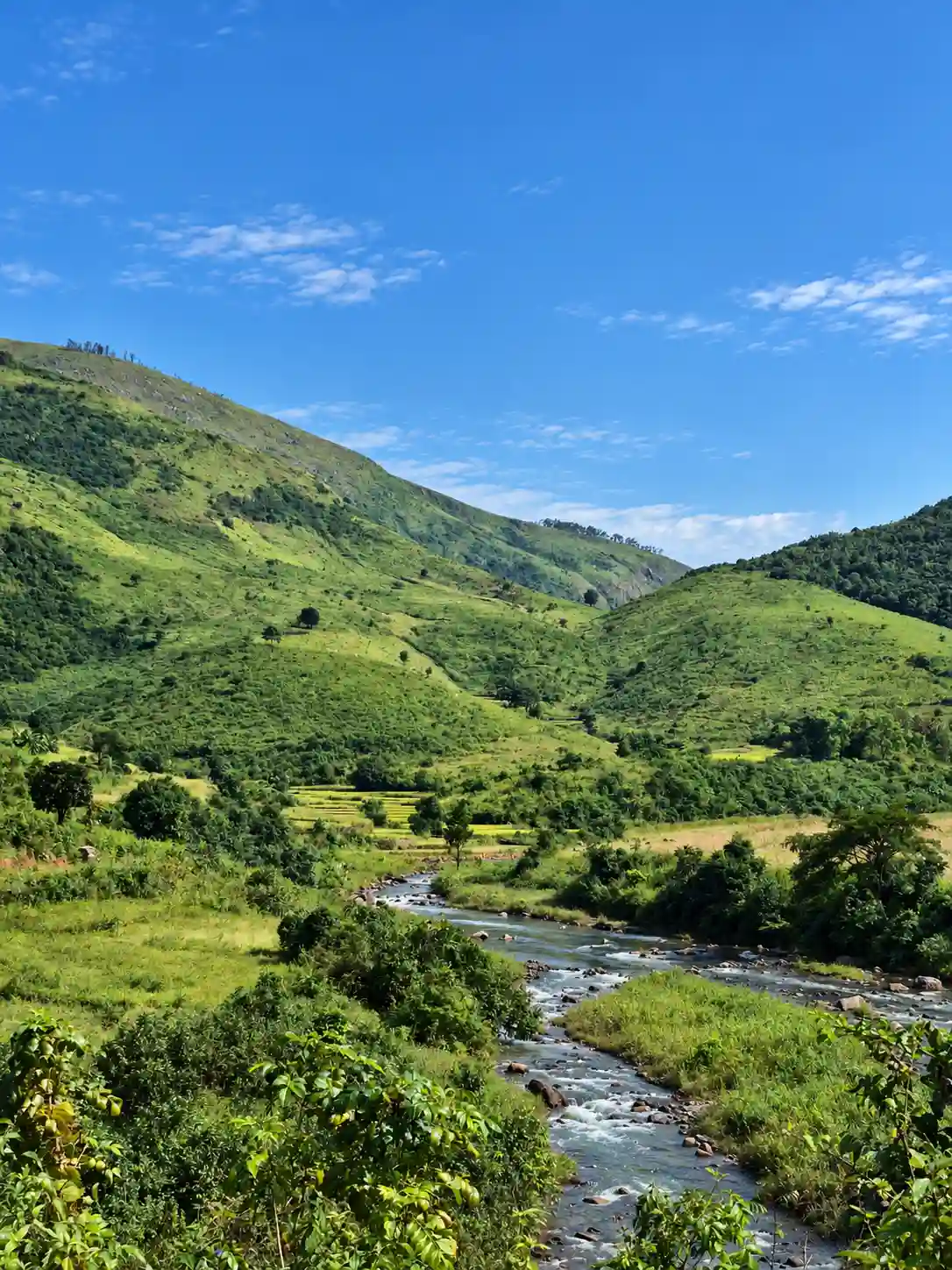 Visiting Talamali on a Deomali trip, Talamali Koraput | localdrive